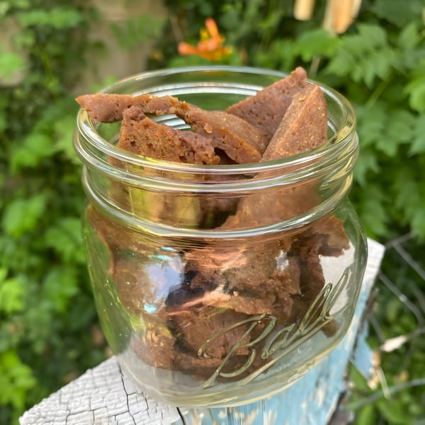 Vegan Daddy Meats' vegan jerky in a glass jar, set against a lush green outdoor background.